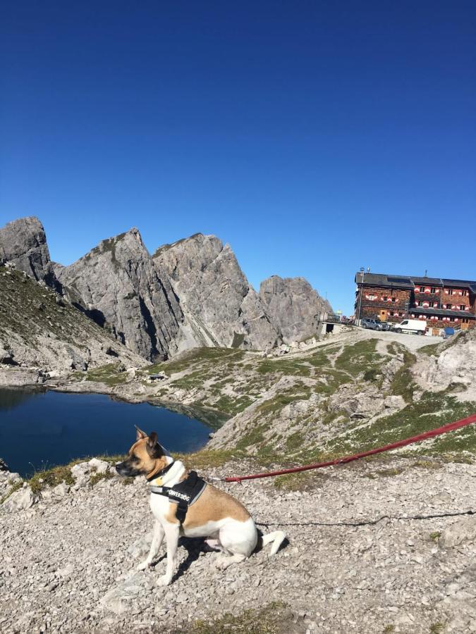 Fruehstueckspension Lemberger Dellach im Drautal Extérieur photo