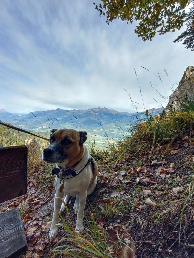 Fruehstueckspension Lemberger Dellach im Drautal Extérieur photo